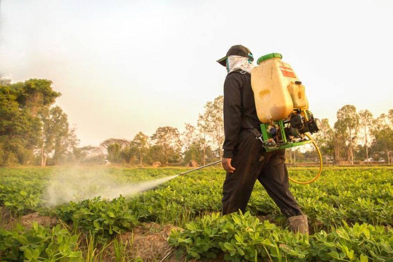 mauvaises herbes herbicides