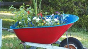 Brouette avec fleurs pour des idées d'aménagement paysager de maison